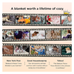 Bedsure Fleece Bed Blankets