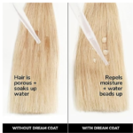 COLOR WOW Dream Coat