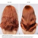 Hello Healthy Hair Starter