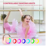 Bluetooth Karaoke Machine