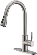 WEWE Brushed Nickel Single Handle Pull-Down Kitchen Faucet