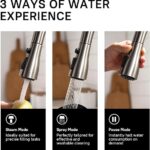 WEWE Brushed Nickel Single Handle Pull-Down Kitchen Faucet