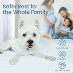 SafeRest Waterproof Queen Mattress Protector, Washable